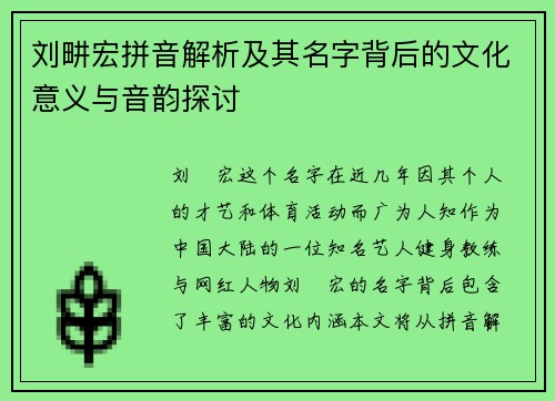 刘畊宏拼音解析及其名字背后的文化意义与音韵探讨